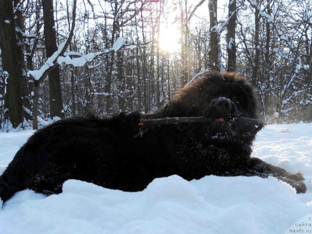 Фотография № 94584