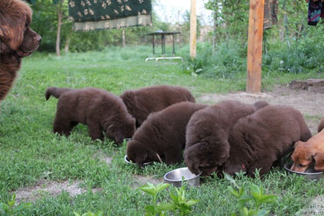 Фотография № 94586