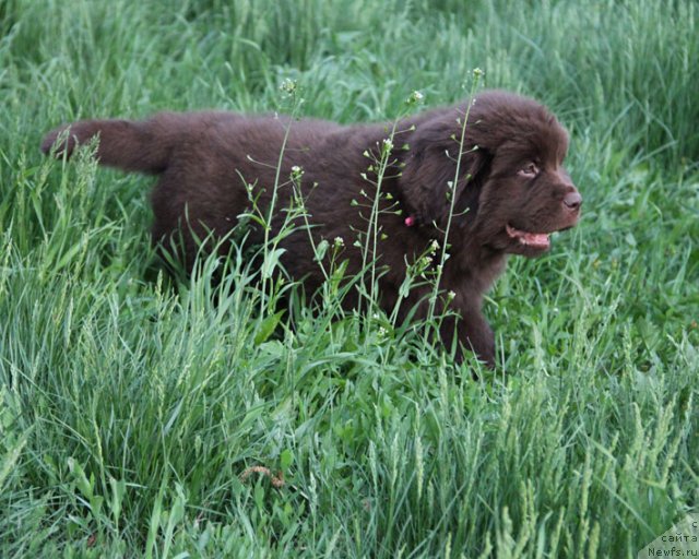 Фотография № 94588