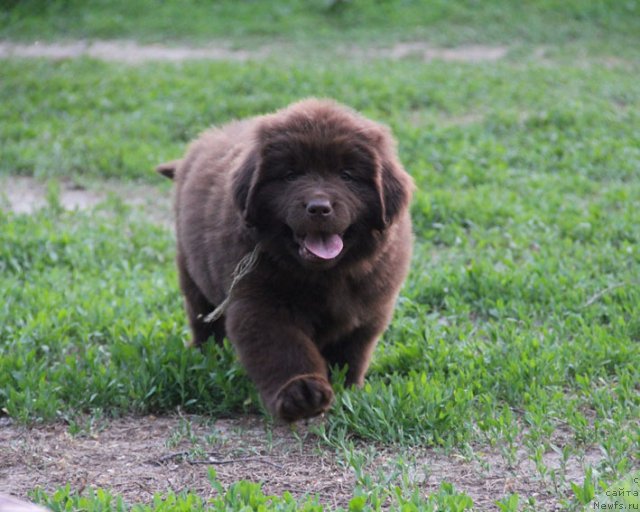 Фотография № 94592