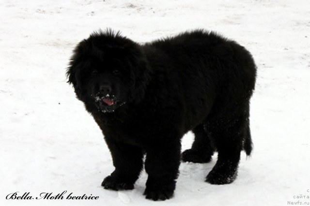 Фотография № 94594