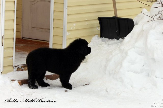 Фотография № 94596