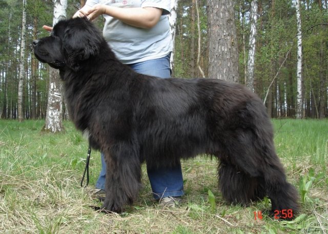 Фотография № 94626