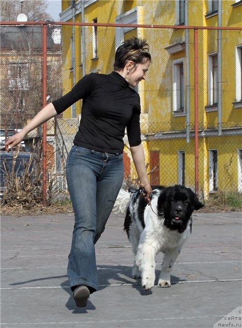 Фотография № 94639