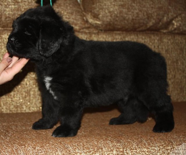 Фотография № 94661