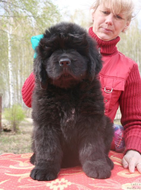 Фото: Бегущая по волнам Центэр оф Аттракшион