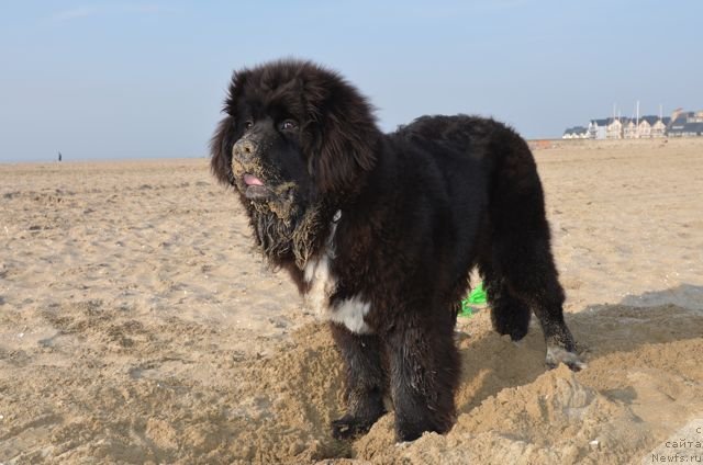 Фотография № 94697