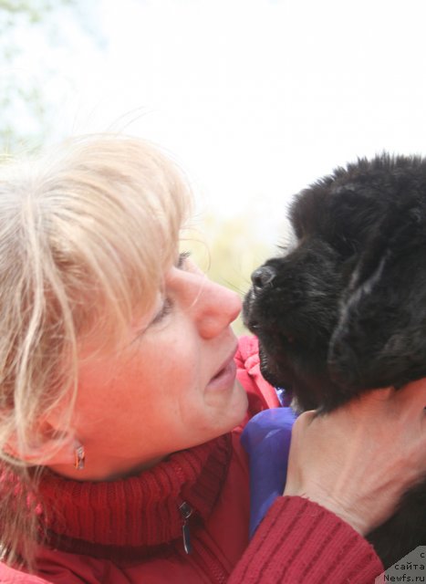 Фото: Кобель синяя лента, Елена Истомина