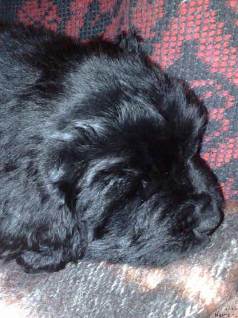 Фотография № 94776