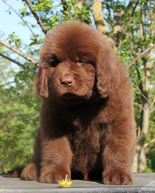 Фотография № 94796