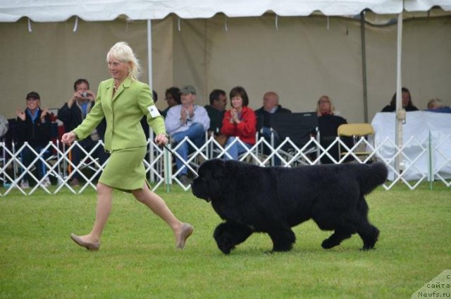 Фотография № 94849