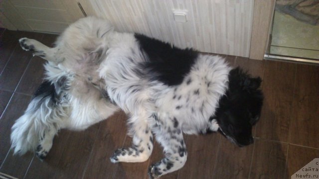 Фотография № 94882