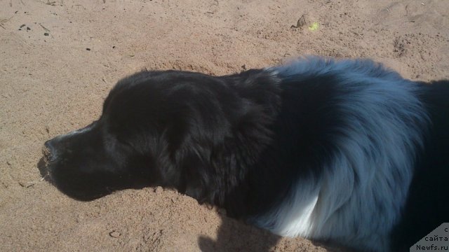 Фотография № 94883