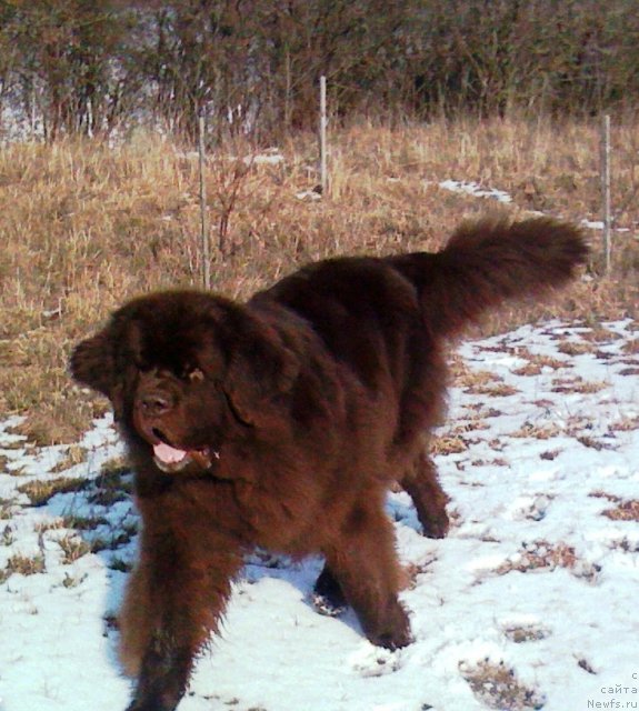 Фото: [Итгайd6697]