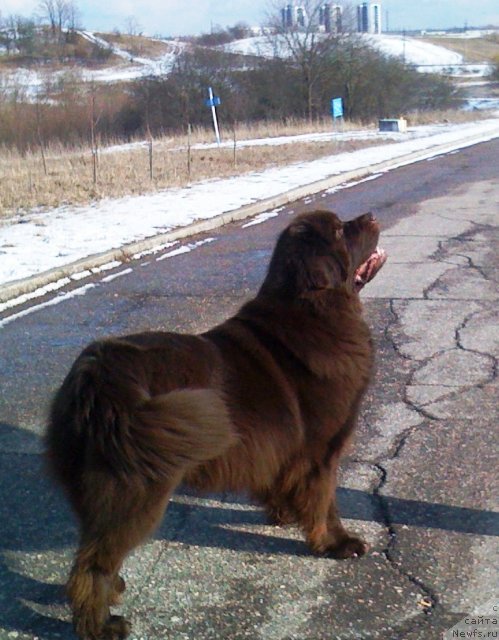 Фото: [Итгайd6697]