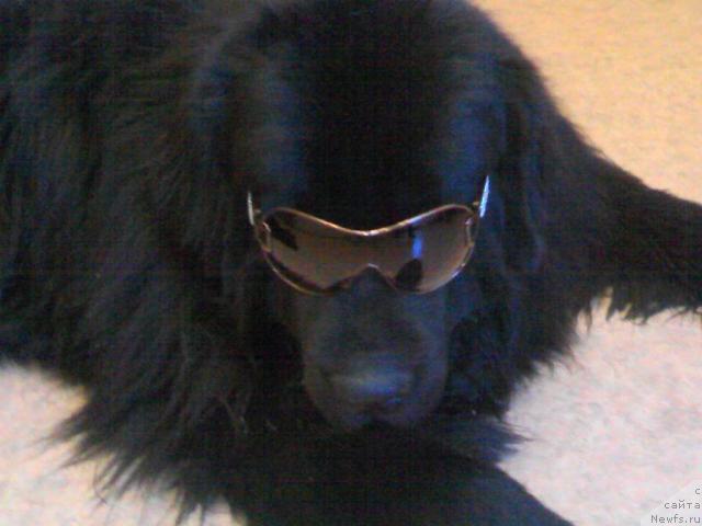 Фотография № 9491