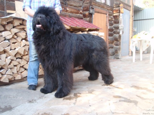 Фотография № 94921