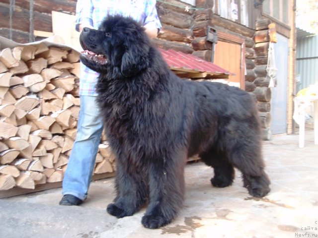 Фотография № 94922