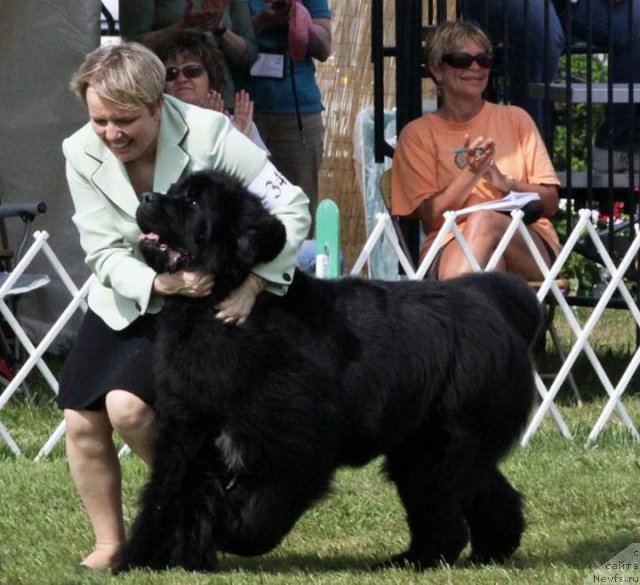 Фотография № 94982