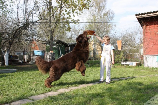 Фотография № 95010