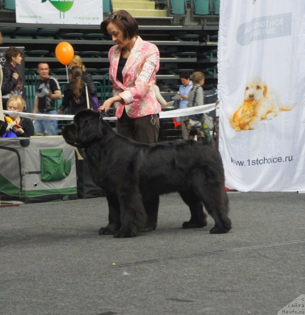 Фотография № 95027