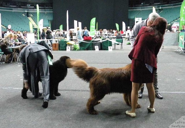 Фотография № 95040