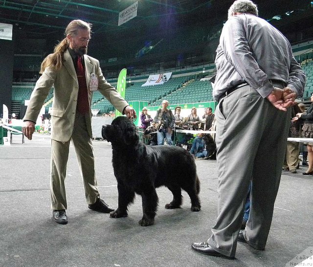 Фотография № 95042