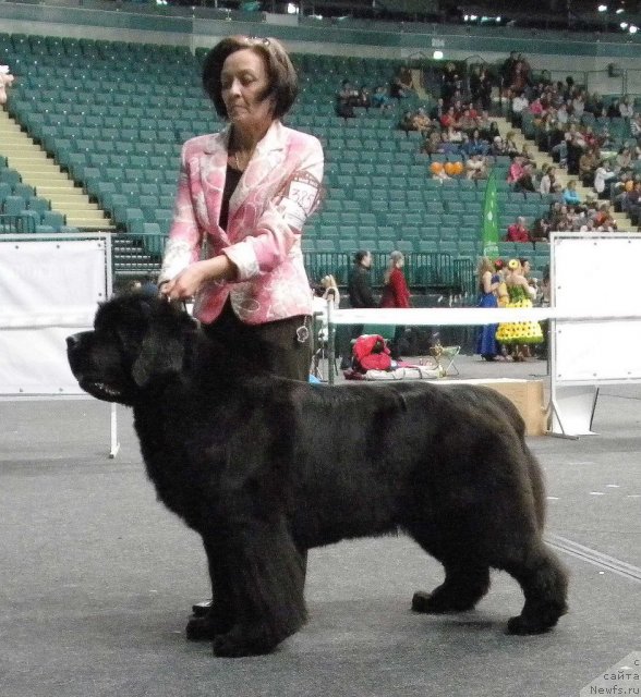 Фотография № 95048