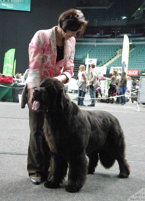 Фотография № 95050