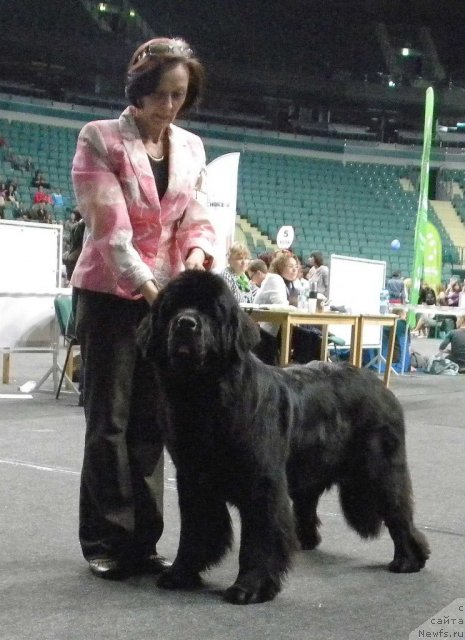 Фотография № 95051