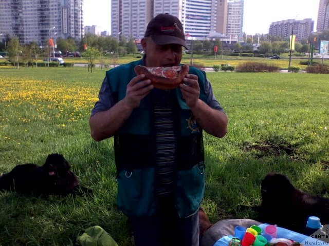 Фотография № 95053