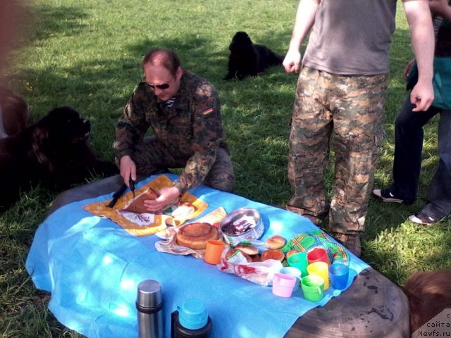 Фотография № 95054