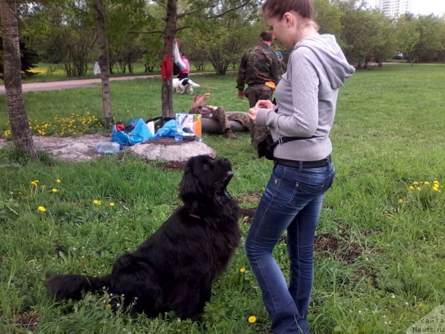 Фотография № 95059