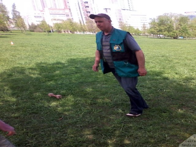 Фотография № 95062