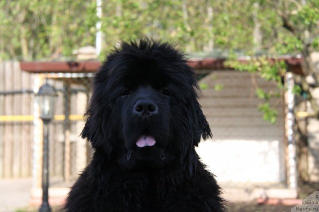 Фотография № 95092