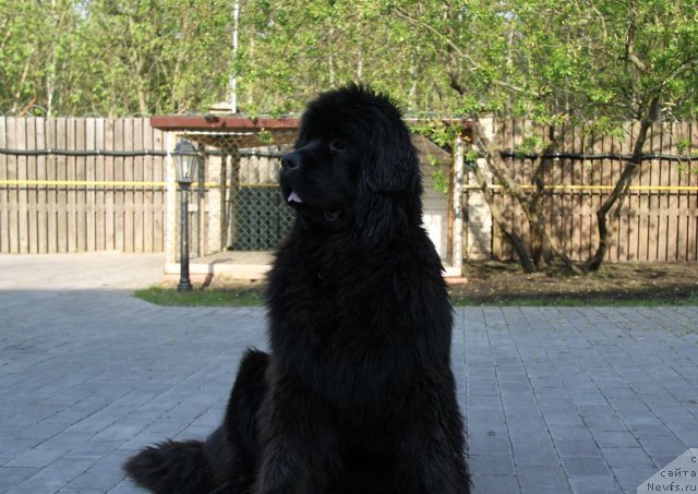 Фотография № 95094