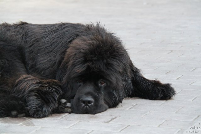 Фотография № 95095