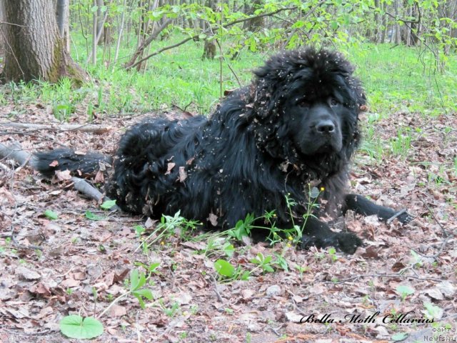 Фотография № 95118