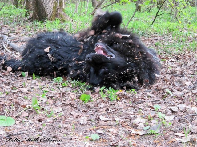 Фотография № 95119