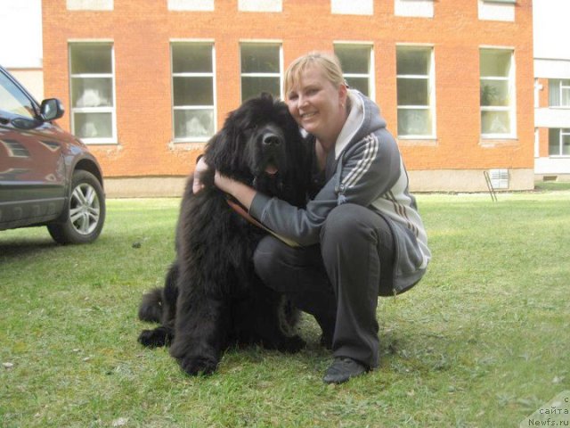 Фото: ньюфаундленд Бегущая по Волнам Зум Зум (Begushaya Po Volnam Zoom Zoom), Хейли Каспер