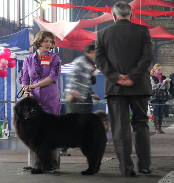 Фотография № 95176