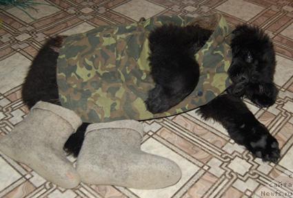 Фотография № 9519