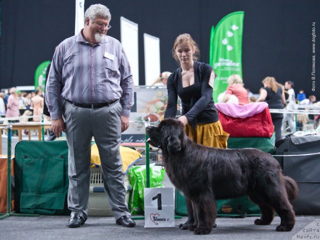 Фотография № 95205