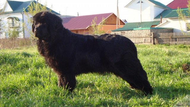 Фотография № 95260