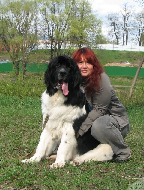 Фотография № 95263