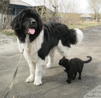 Фотография № 95276