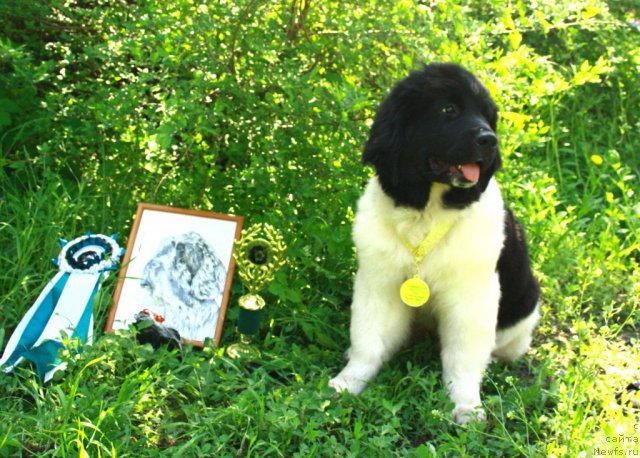 Фотография № 95284