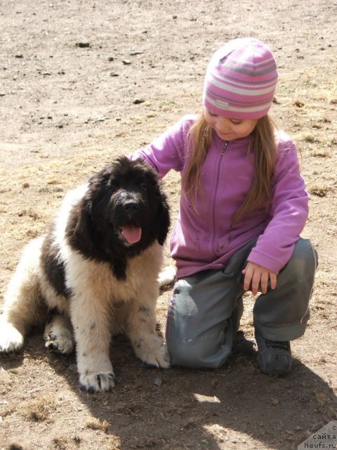 Фотография № 95291