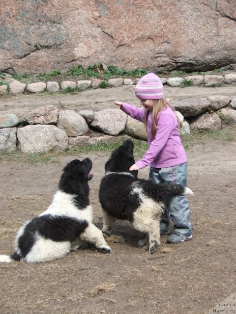 Фото: [d11328] [d11325]