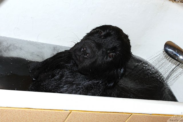 Фотография № 95299